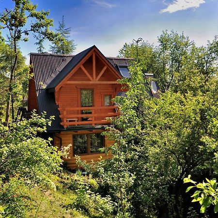 Domki Mroz Zakopane Ngoại thất bức ảnh