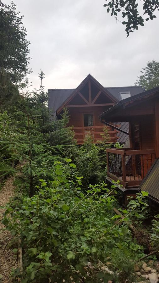 Domki Mroz Zakopane Ngoại thất bức ảnh