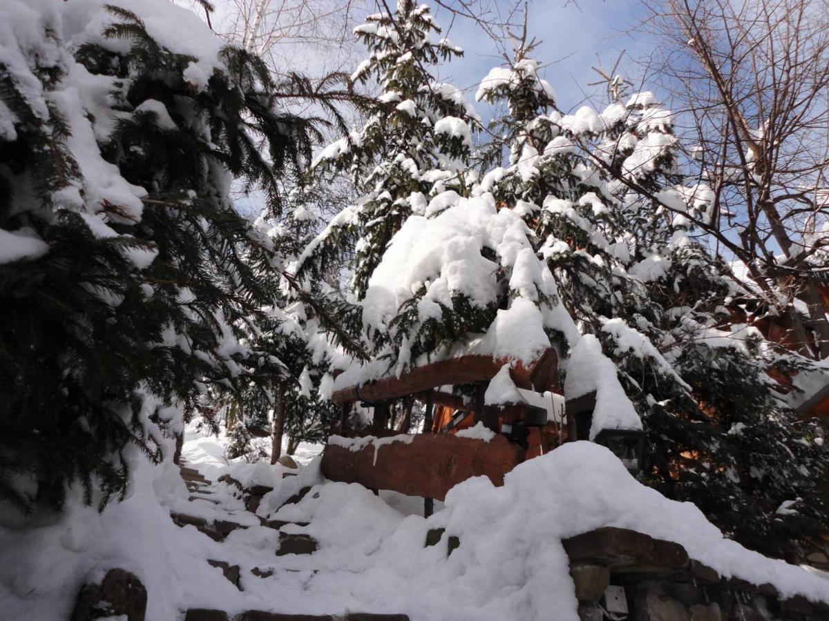 Domki Mroz Zakopane Ngoại thất bức ảnh