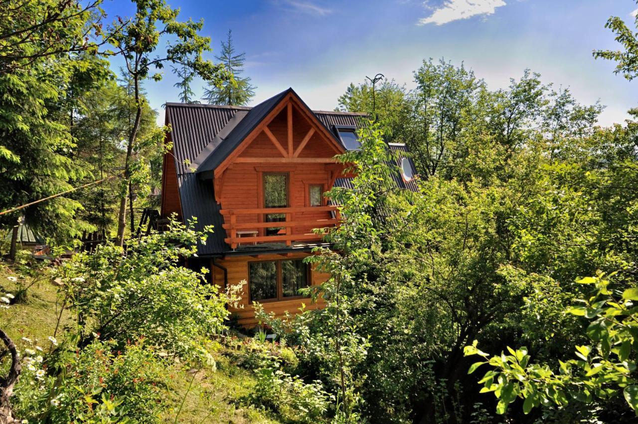 Domki Mroz Zakopane Ngoại thất bức ảnh