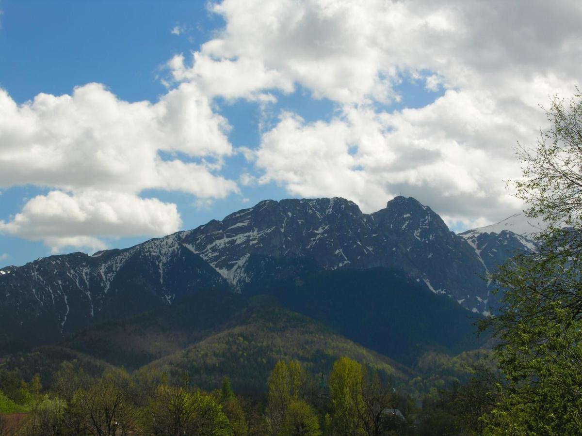 Domki Mroz Zakopane Ngoại thất bức ảnh