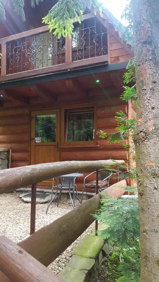 Domki Mroz Zakopane Ngoại thất bức ảnh