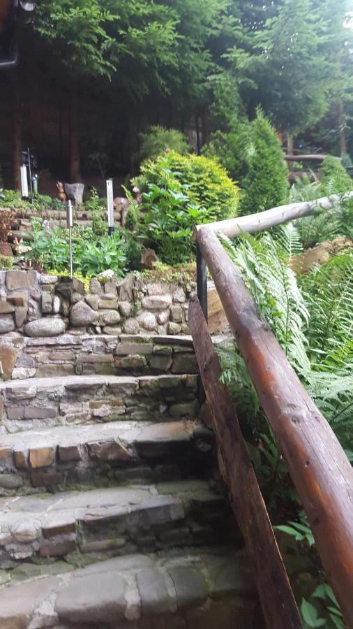 Domki Mroz Zakopane Ngoại thất bức ảnh