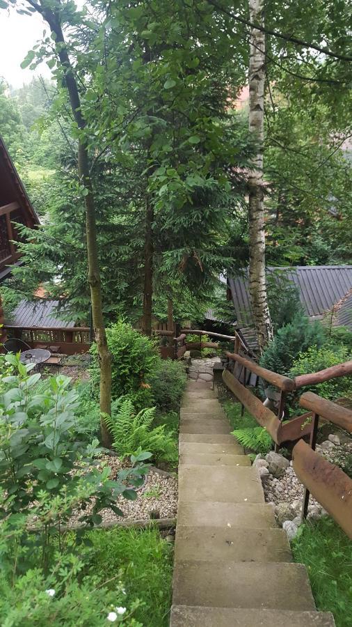 Domki Mroz Zakopane Ngoại thất bức ảnh