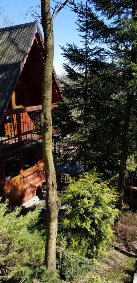 Domki Mroz Zakopane Ngoại thất bức ảnh