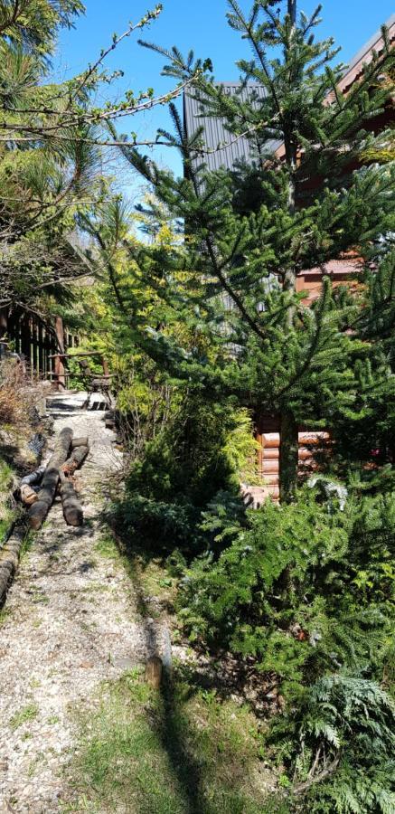 Domki Mroz Zakopane Ngoại thất bức ảnh