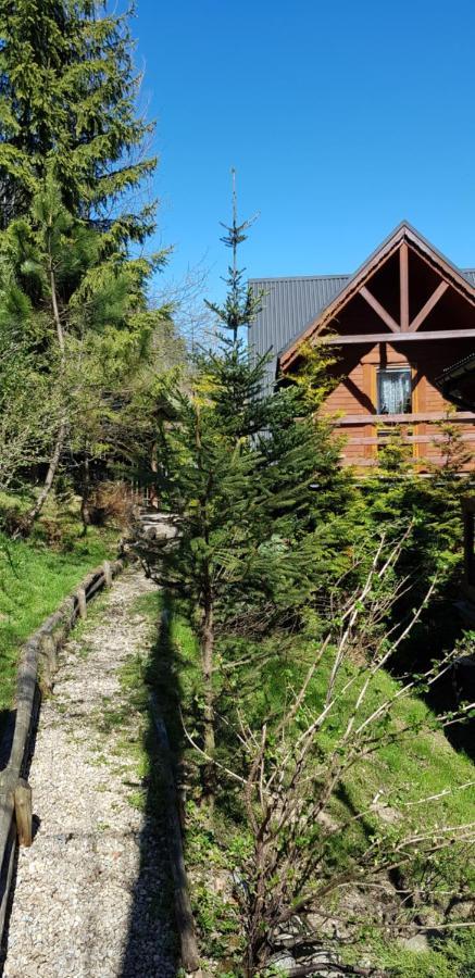Domki Mroz Zakopane Ngoại thất bức ảnh