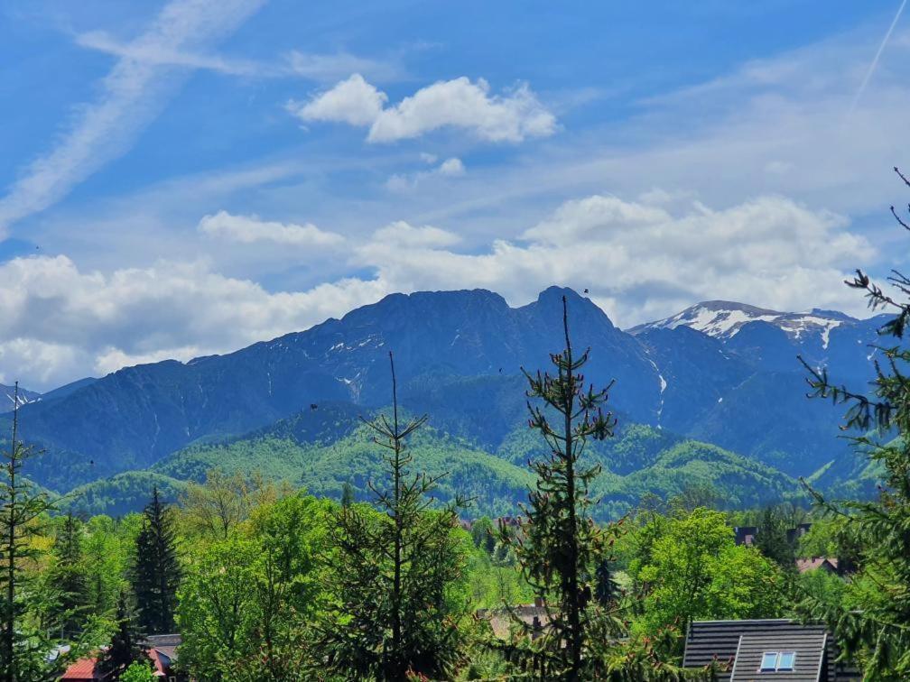 Domki Mroz Zakopane Ngoại thất bức ảnh